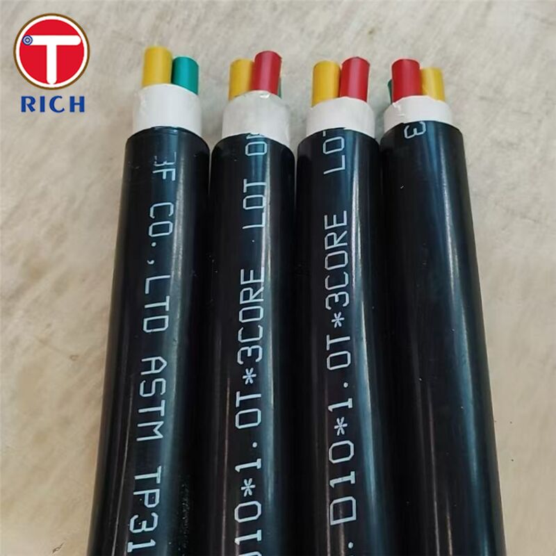 304L/316L/Duplex 2205級および冷引/熱巻き技術で造船のためのプラスチックコーティング付きの多核型ステンレス鋼シームレスチューブ